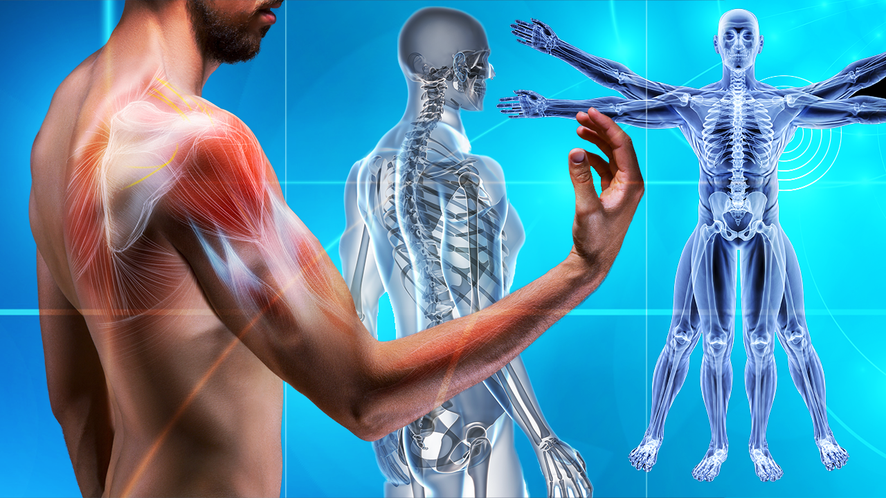 NeuEra - La Trilogie Ultime NeuEra pour Thérapeutes Manuels