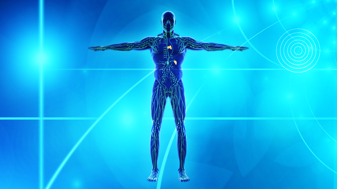 NeuEra - Le Système Lymphatique