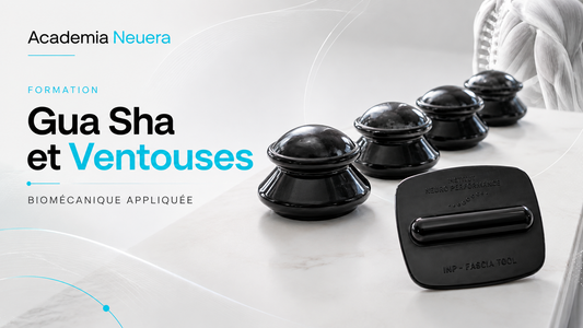 Formation Gua Sha et Ventouses pour la biomécanique appliquée — Academia NeuEra