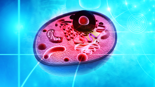 NeuEra - Mitochondrial Optimization