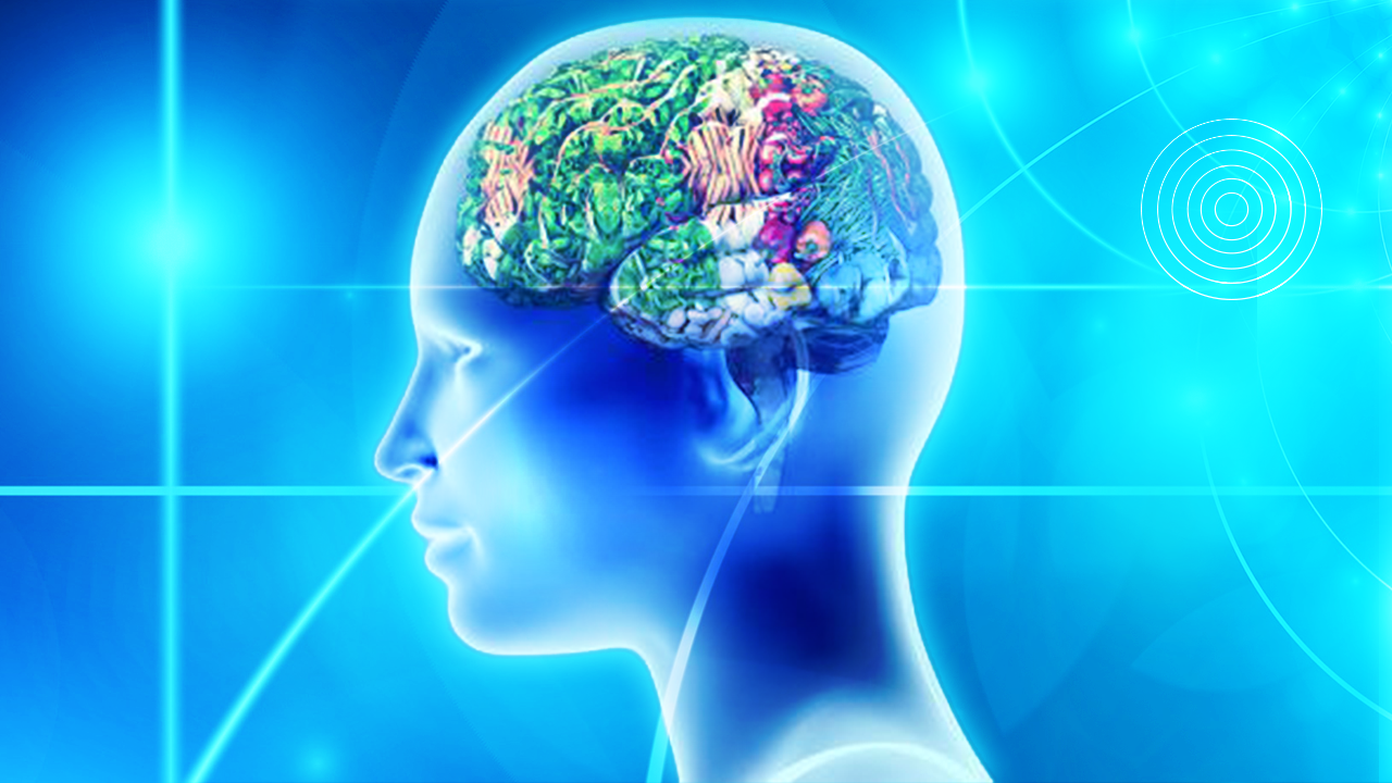 NeuEra- Nutrition pour le Cerveau